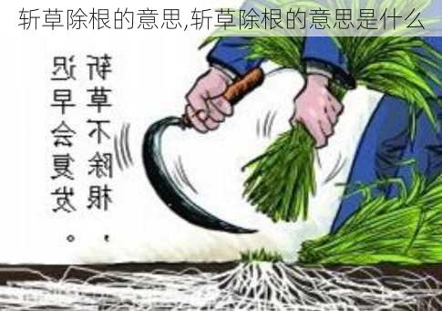 斩草除根的意思,斩草除根的意思是什么