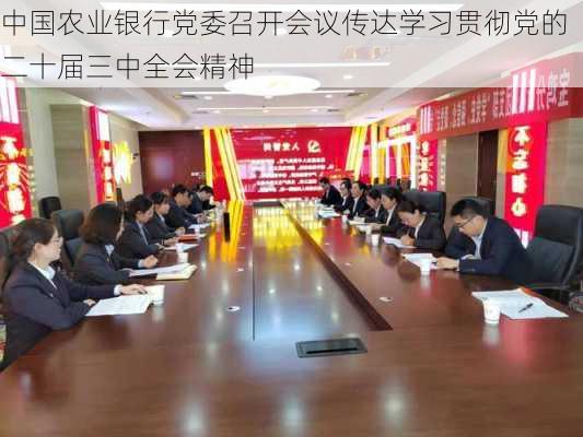 中国农业银行党委召开会议传达学习贯彻党的二十届三中全会精神