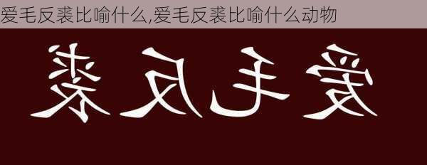 爱毛反裘比喻什么,爱毛反裘比喻什么动物