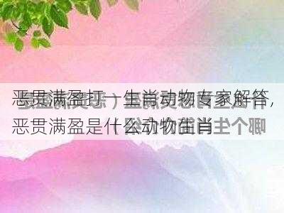 恶贯满盈打一生肖动物专家解答,恶贯满盈是什么动物生肖