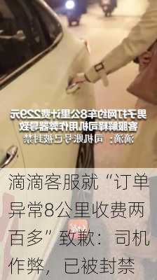 滴滴客服就“订单异常8公里收费两百多”致歉：司机作弊，已被封禁