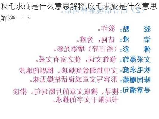 吹毛求疵是什么意思解释,吹毛求疵是什么意思解释一下