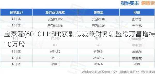 宝泰隆(601011.SH)获副总裁兼财务总监常万昌增持10万股