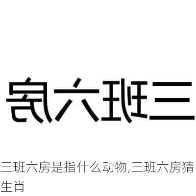 三班六房是指什么动物,三班六房猜生肖