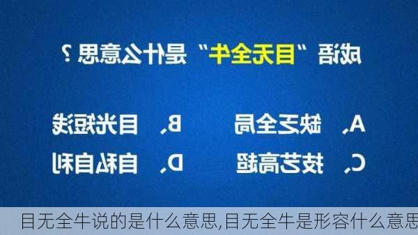 目无全牛说的是什么意思,目无全牛是形容什么意思