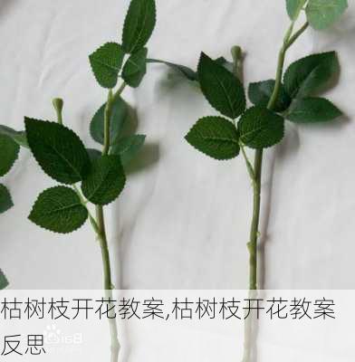 枯树枝开花教案,枯树枝开花教案反思