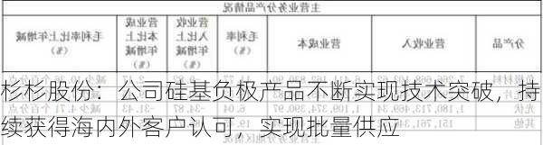 杉杉股份：公司硅基负极产品不断实现技术突破，持续获得海内外客户认可，实现批量供应