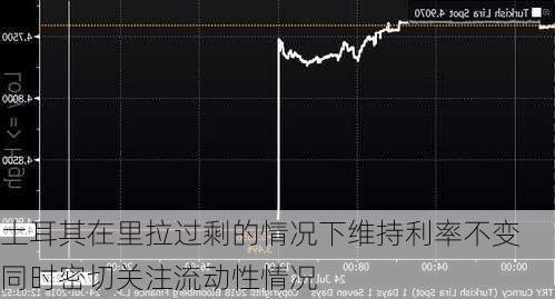 土耳其在里拉过剩的情况下维持利率不变 同时密切关注流动性情况