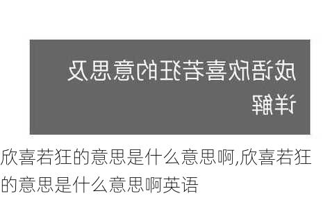 欣喜若狂的意思是什么意思啊,欣喜若狂的意思是什么意思啊英语