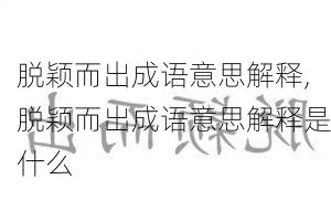 脱颖而出成语意思解释,脱颖而出成语意思解释是什么