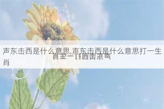 声东击西是什么意思,声东击西是什么意思打一生肖