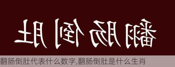 翻肠倒肚代表什么数字,翻肠倒肚是什么生肖