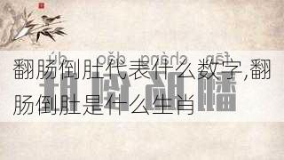 翻肠倒肚代表什么数字,翻肠倒肚是什么生肖