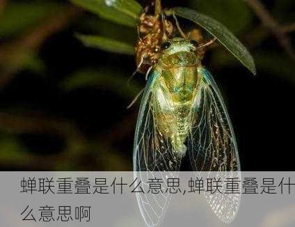 蝉联重叠是什么意思,蝉联重叠是什么意思啊