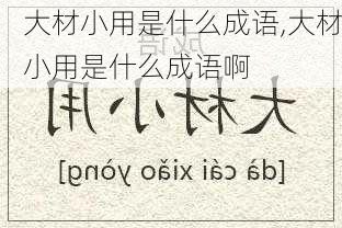 大材小用是什么成语,大材小用是什么成语啊