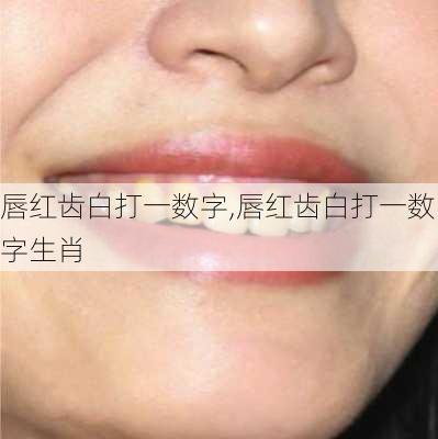 唇红齿白打一数字,唇红齿白打一数字生肖