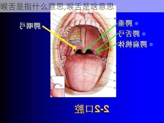 喉舌是指什么意思,喉舌是啥意思