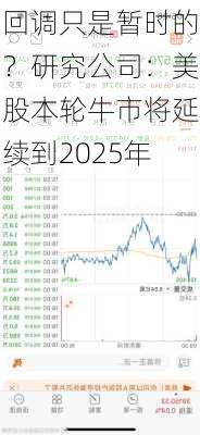 回调只是暂时的？研究公司：美股本轮牛市将延续到2025年