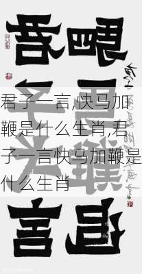 君子一言,快马加鞭是什么生肖,君子一言快马加鞭是什么生肖