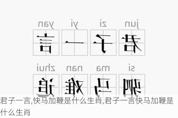 君子一言,快马加鞭是什么生肖,君子一言快马加鞭是什么生肖