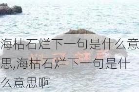 海枯石烂下一句是什么意思,海枯石烂下一句是什么意思啊