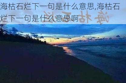 海枯石烂下一句是什么意思,海枯石烂下一句是什么意思啊