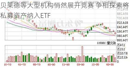 贝莱德等大型机构悄然展开竞赛 争相探索将私募资产纳入ETF