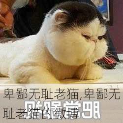 卑鄙无耻老猫,卑鄙无耻老猫的微博