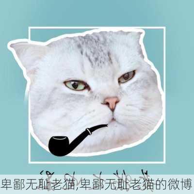 卑鄙无耻老猫,卑鄙无耻老猫的微博