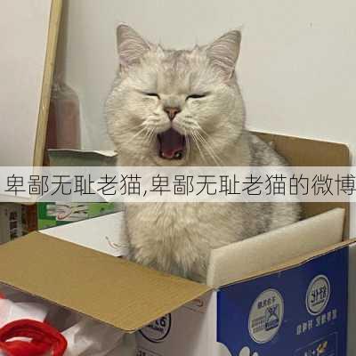 卑鄙无耻老猫,卑鄙无耻老猫的微博