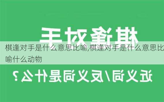 棋逢对手是什么意思比喻,棋逢对手是什么意思比喻什么动物