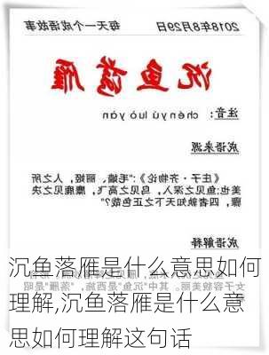 沉鱼落雁是什么意思如何理解,沉鱼落雁是什么意思如何理解这句话