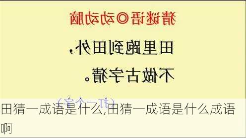 田猜一成语是什么,田猜一成语是什么成语啊