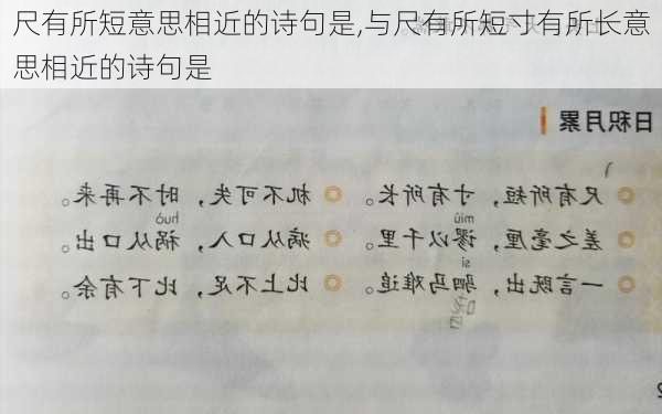 尺有所短意思相近的诗句是,与尺有所短寸有所长意思相近的诗句是