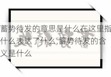 蓄势待发的意思是什么在这里指什么表达了什么,蓄势待发的含义是什么