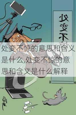 处变不惊的意思和含义是什么,处变不惊的意思和含义是什么解释