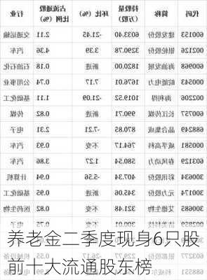 养老金二季度现身6只股前十大流通股东榜