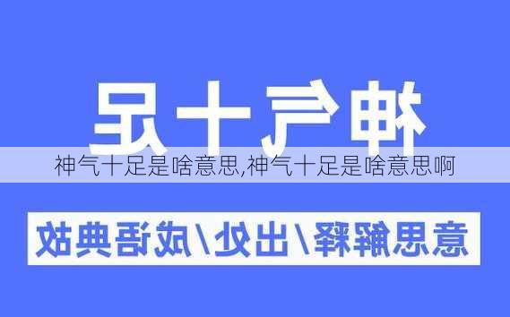 神气十足是啥意思,神气十足是啥意思啊