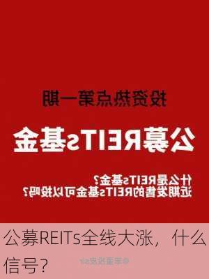 公募REITs全线大涨，什么信号？