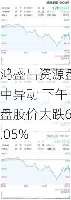 鸿盛昌资源盘中异动 下午盘股价大跌6.05%