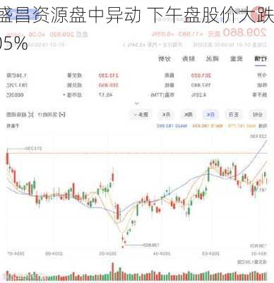 鸿盛昌资源盘中异动 下午盘股价大跌6.05%