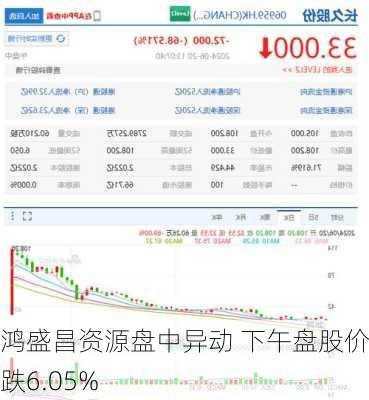 鸿盛昌资源盘中异动 下午盘股价大跌6.05%