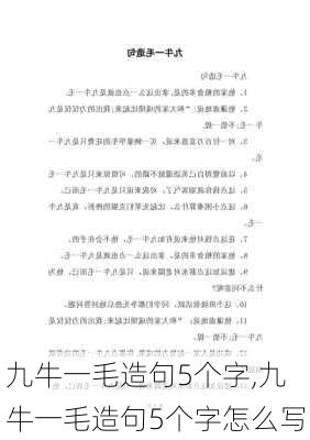 九牛一毛造句5个字,九牛一毛造句5个字怎么写