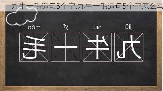 九牛一毛造句5个字,九牛一毛造句5个字怎么写