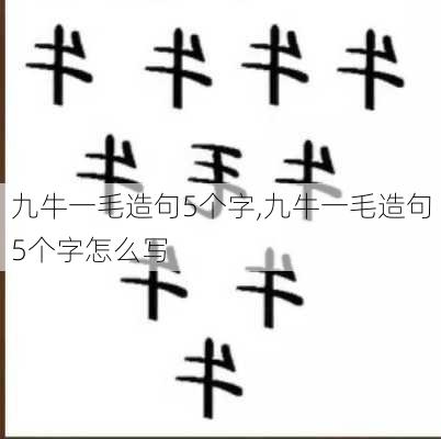 九牛一毛造句5个字,九牛一毛造句5个字怎么写