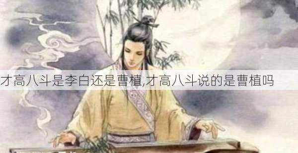 才高八斗是李白还是曹植,才高八斗说的是曹植吗