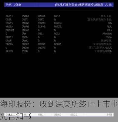 海印股份：收到深交所终止上市事先告知书