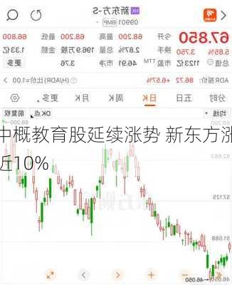 中概教育股延续涨势 新东方涨近10%