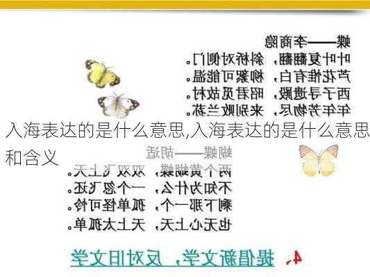 入海表达的是什么意思,入海表达的是什么意思和含义