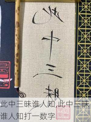 此中三昧谁人知,此中三昧谁人知打一数字